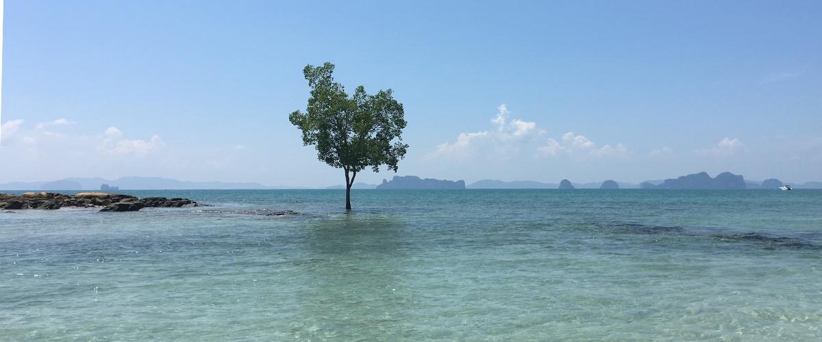 Joogaloma Thaimaassa Krabilla.